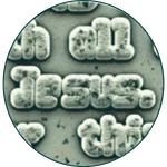 The Bible text on the TANAOR nano chip under a microscope