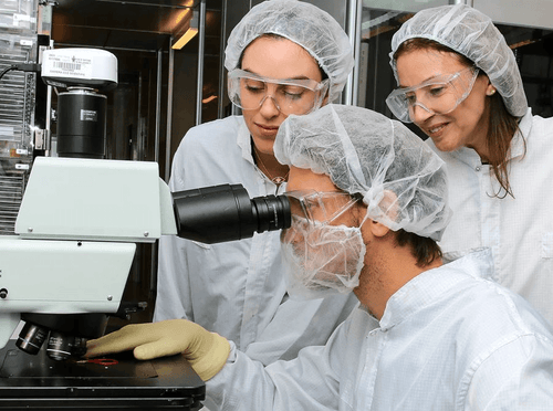TANAOR Christmas lab